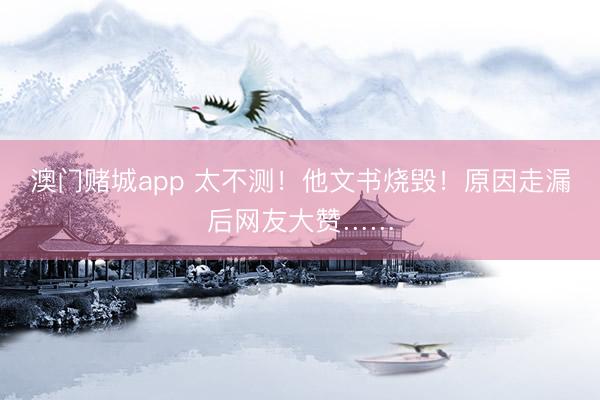 澳门赌城app 太不测！他文书烧毁！原因走漏后网友大赞……