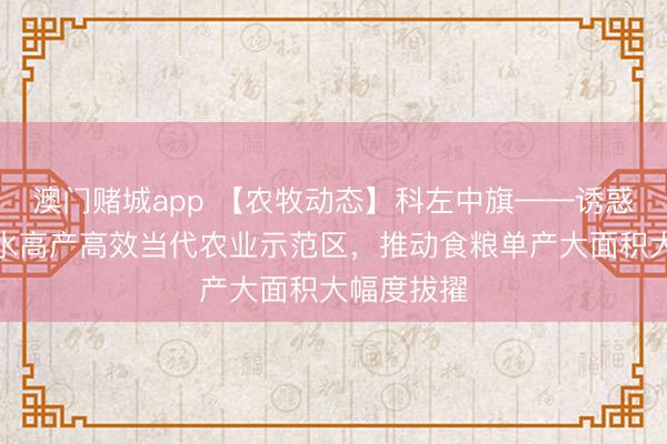 澳门赌城app 【农牧动态】科左中旗——诱惑百万亩节水高产高效当代农业示范区，推动食粮单产大面积大幅度拔擢