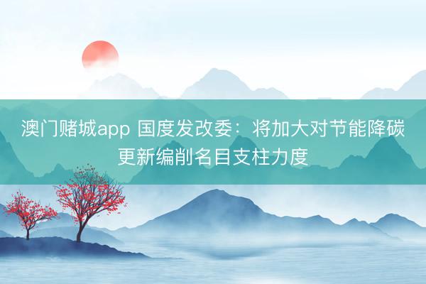 澳门赌城app 国度发改委：将加大对节能降碳更新编削名目支柱力度