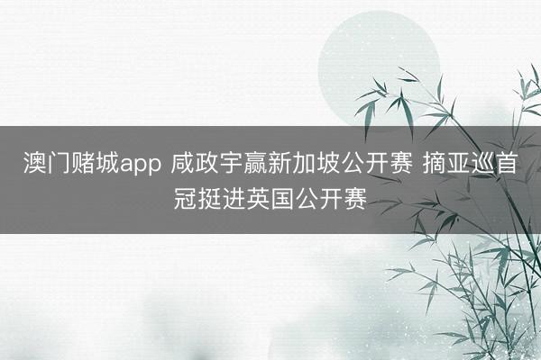 澳门赌城app 咸政宇赢新加坡公开赛 摘亚巡首冠挺进英国公开赛
